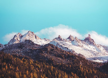 乐鱼体育在线登陆——畅享极致体育娱乐体验